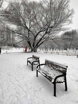 北京奥林匹克森林公园雪景