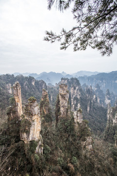 张家界天子山