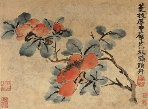 石濤木槿圖