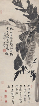 石濤蕉竹圖