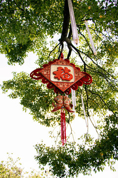 惠州西湖挂在树上的福字
