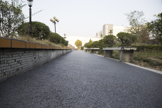 花园一隅绿化带柏油路面