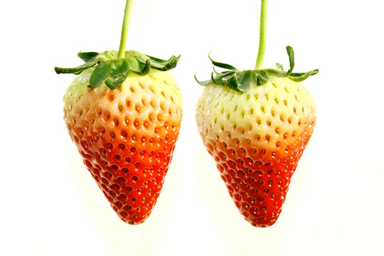 草莓高清图