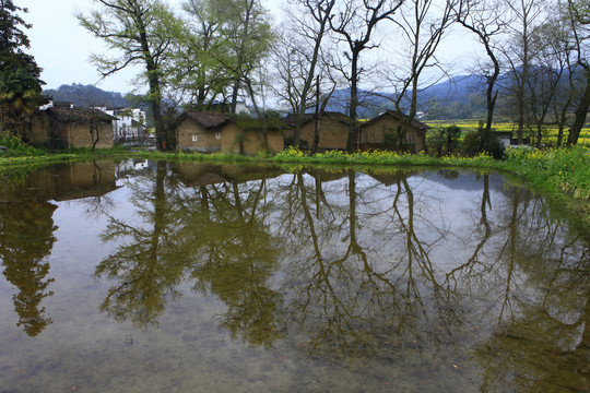 婺源严田村风景