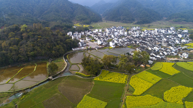 婺源严田村风景