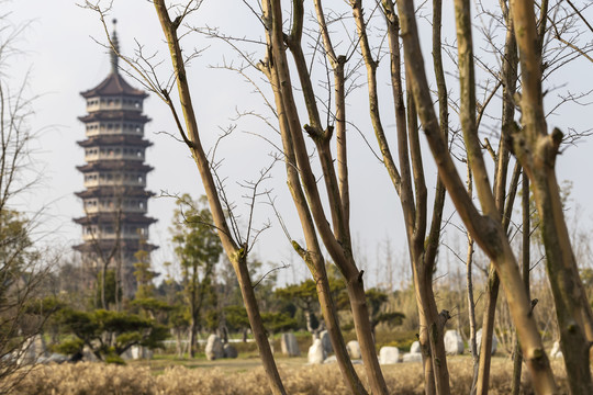 高旻寺古塔天中塔