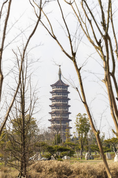 高旻寺古塔天中塔