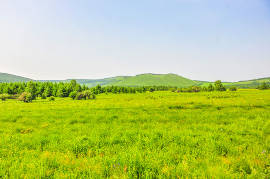 阿尔山风光