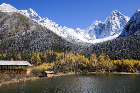 毕棚沟雪山秋色