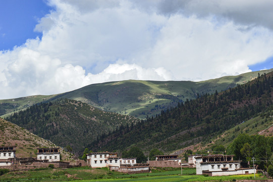 西藏民区建筑花自然