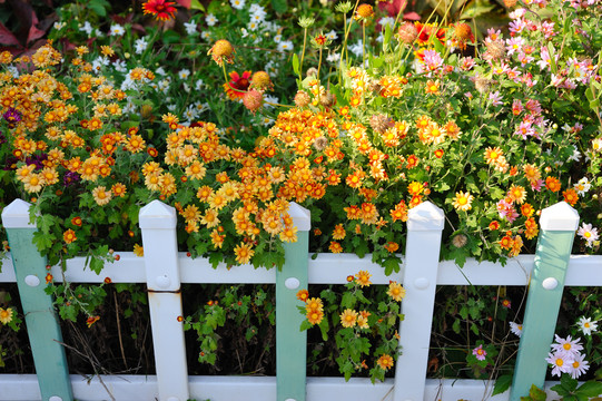 鲜花围栏