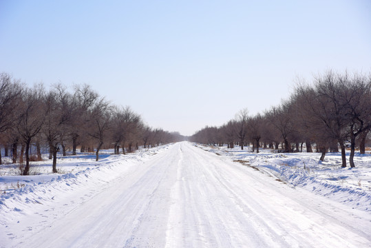 西北公路冬季景观