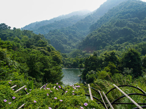 河源野趣沟