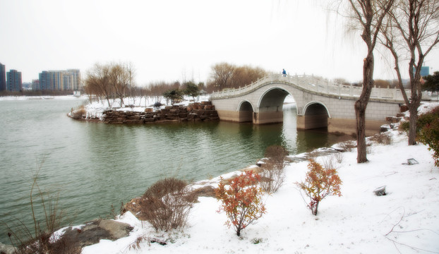 公园雪景