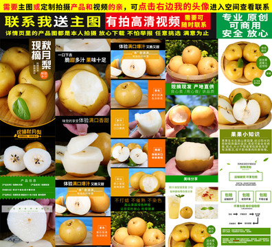 秋月梨詳情