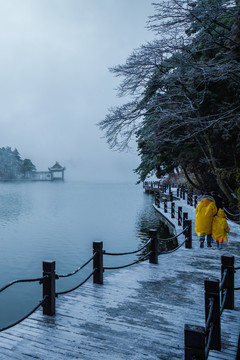 雪色如琴