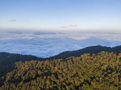 屏边大围山