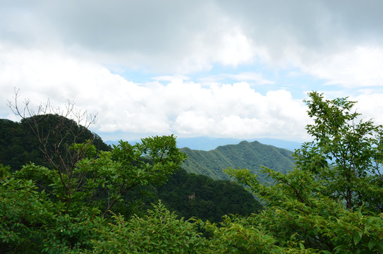 王顺山