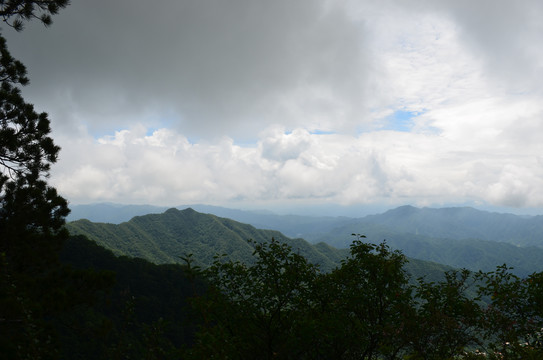 王顺山