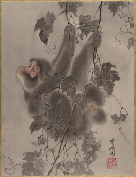 河鍋曉齋猴子攀枝圖