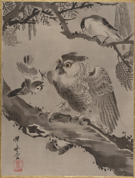 河鍋曉齋水墨貓頭鷹麻雀圖