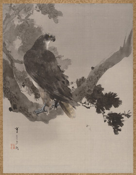 肖亭水墨蒼鷹