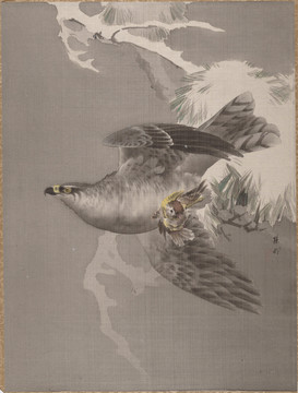 肖亭水墨老鷹抓雀圖