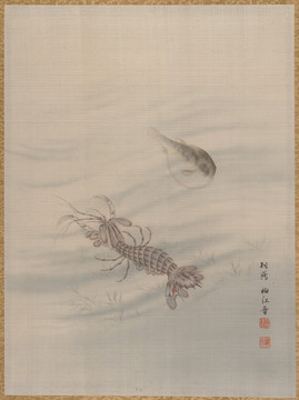 袖江晉水墨蝦魚圖