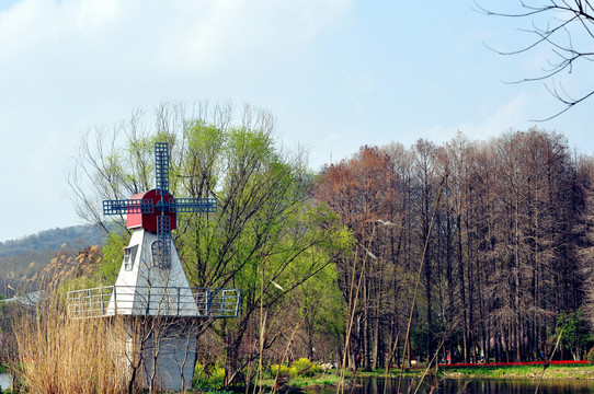 南京中山植物园风车