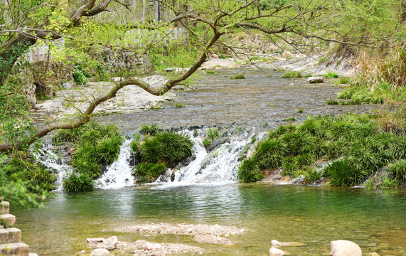 水流小溪河流绿色自然山间溪流