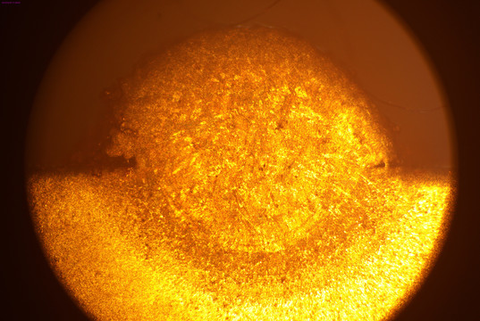 显微镜下的金属金相照片