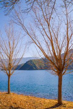 泸沽湖