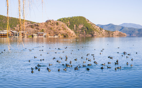 泸沽湖