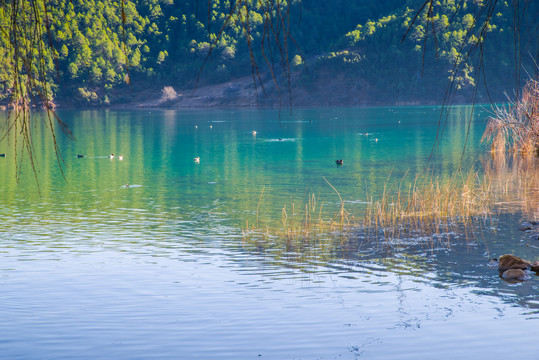 泸沽湖