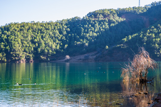 泸沽湖