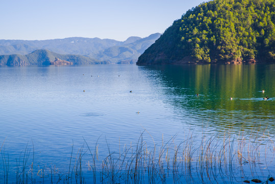 泸沽湖