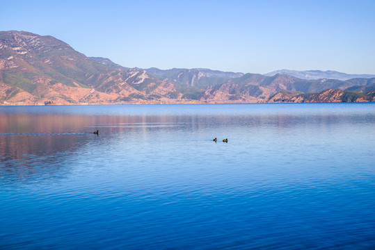 泸沽湖