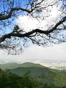 广州白云山景观