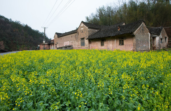 马河风光