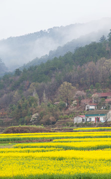 钱河湿地公园