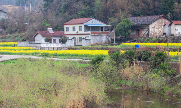 钱河湿地公园