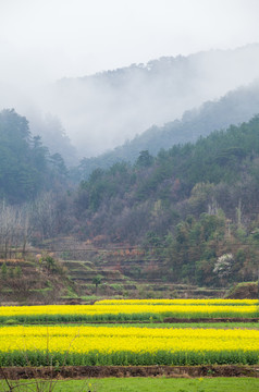 钱河湿地公园