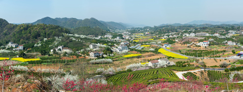 架锅山村桃花山高清全景图