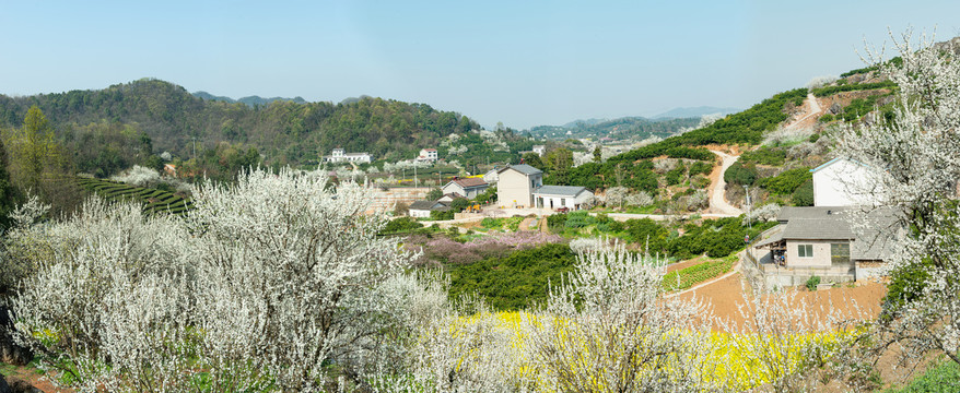 架锅山村桃花山高清全景图