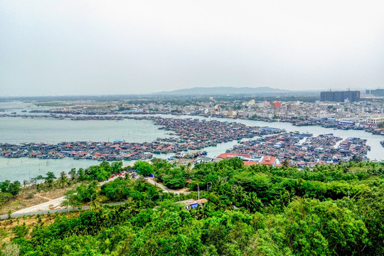 陵水南湾猴岛