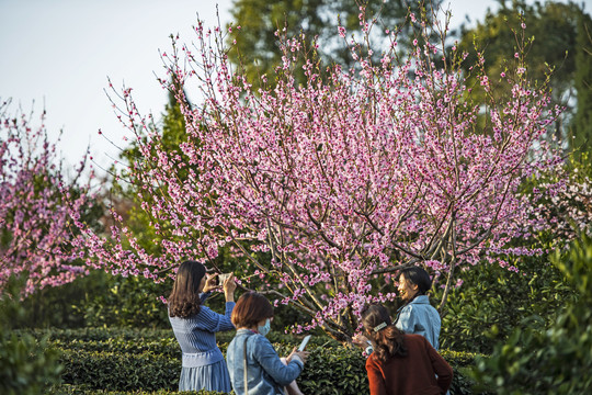 春暖花開