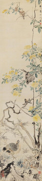 華嵒華巖花鳥