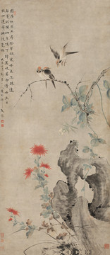 華嵒華巖朱菊秋禽圖