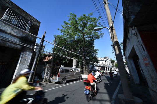 海口骑楼老街城市风光