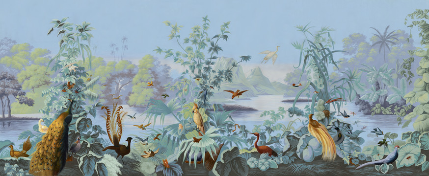 手绘西洋画热带丛林花鸟稿件